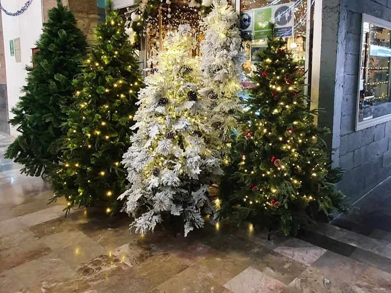 México interiorismo