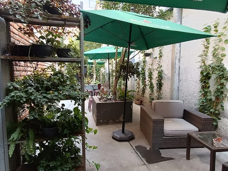 Conolandia Santa María