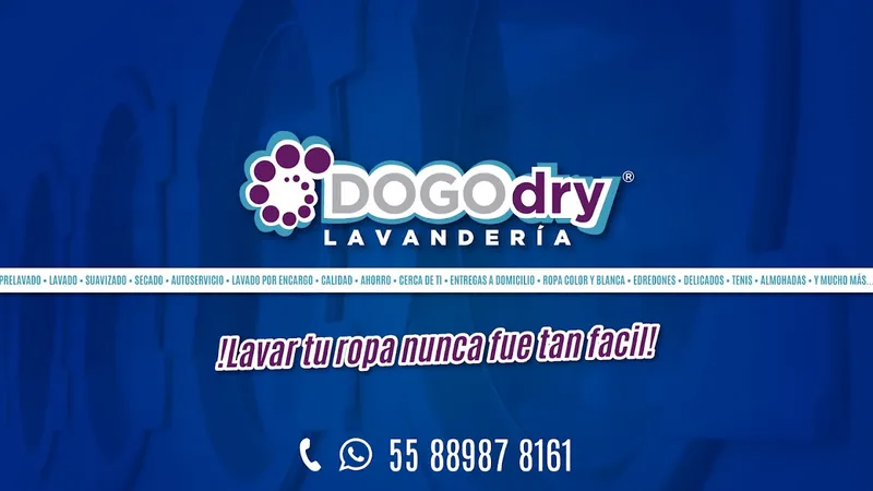DogoDry Lavandería
