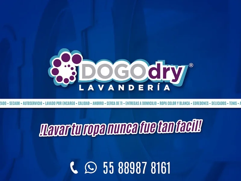 DogoDry Lavandería