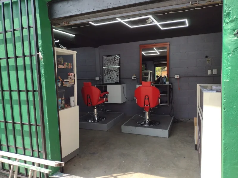 Paradise Barber Club