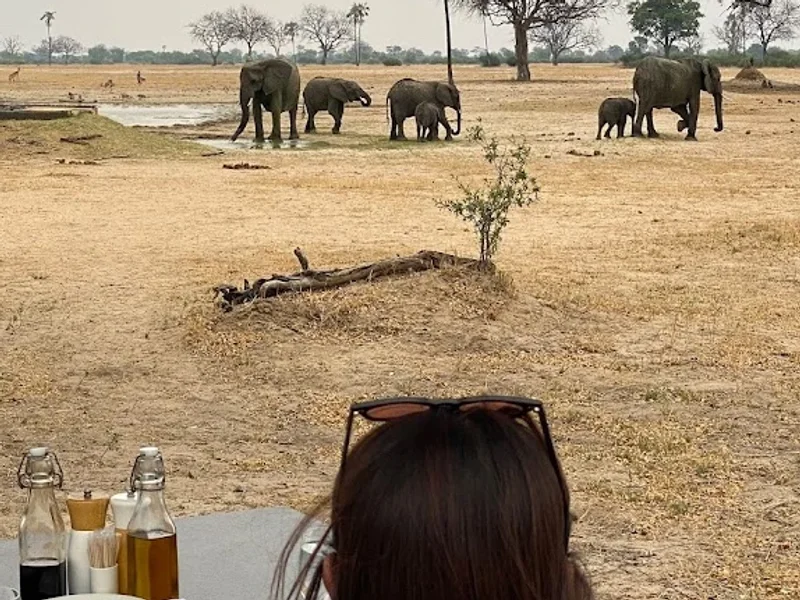 VIAJES PLANETA AZUL. Especialistas en viajes de experiencias de alto standing.