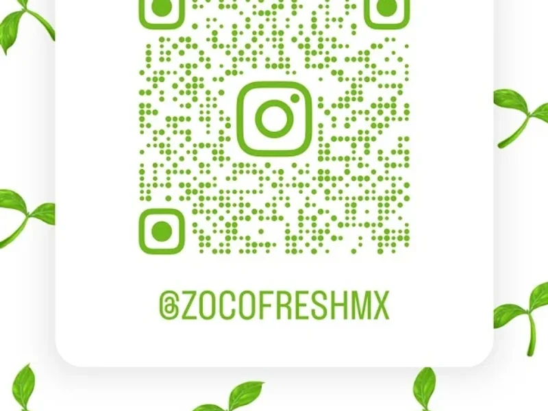 Zoco Fresh Roma