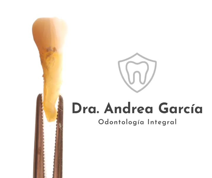Dentista Dra. Andrea Garcia Odontología