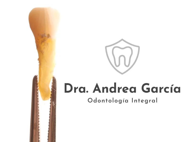 Dentista Dra. Andrea Garcia Odontología