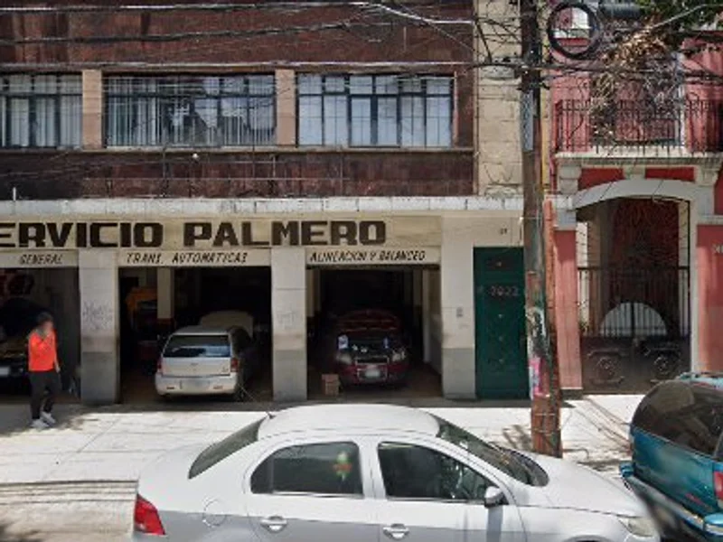 SERVICIO PALMERO