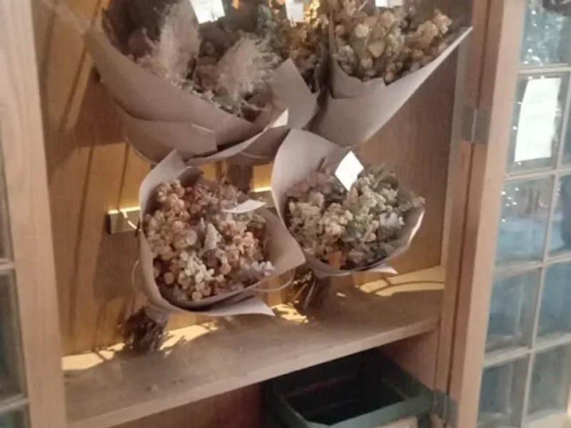 Artisteria en Jarilla