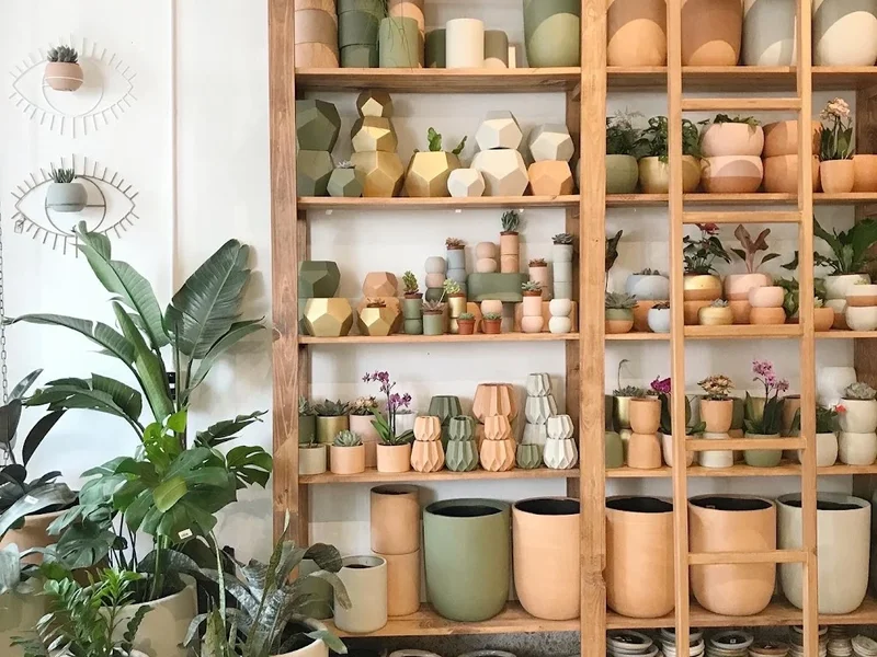 Proyecto Rufina Roma Norte