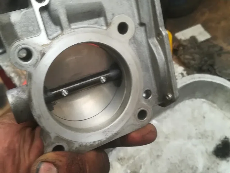 Servicio seras
