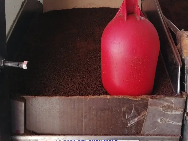 La Casa del Buen Mole