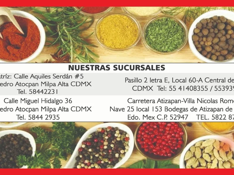 Mole Casero Doña Elia