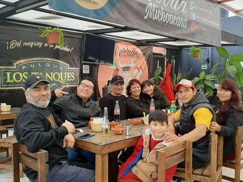 Perrillos birria michoacana