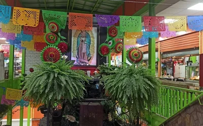 Los 13 mercados de alimentación de San Pedro Atocpan Mexico City