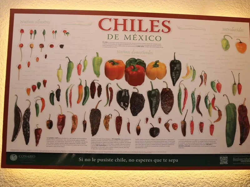 Mole Casero Doña Elia