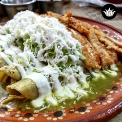 Los mejores 19 chilaquiles de Apaxco