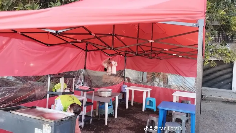 Tacos de guisad y desayunos la catrina