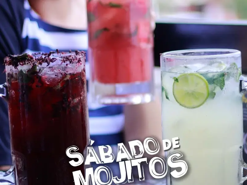 Perros y Burros Americas Oficial