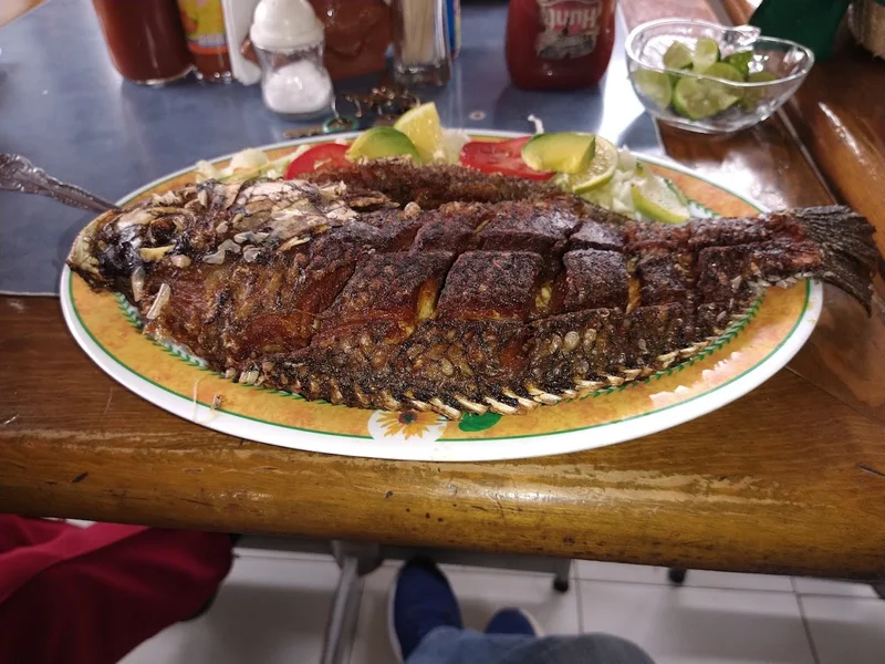 El Encanto Jarocho