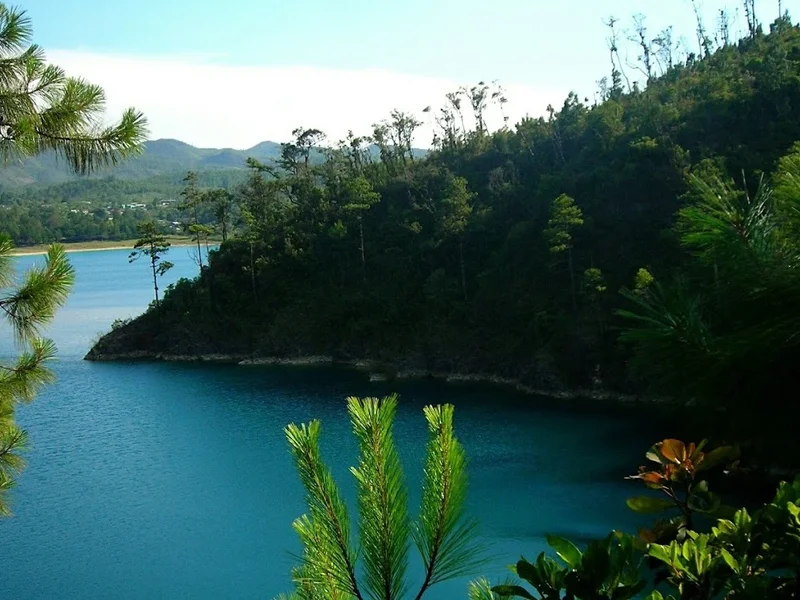 México de mis sabores