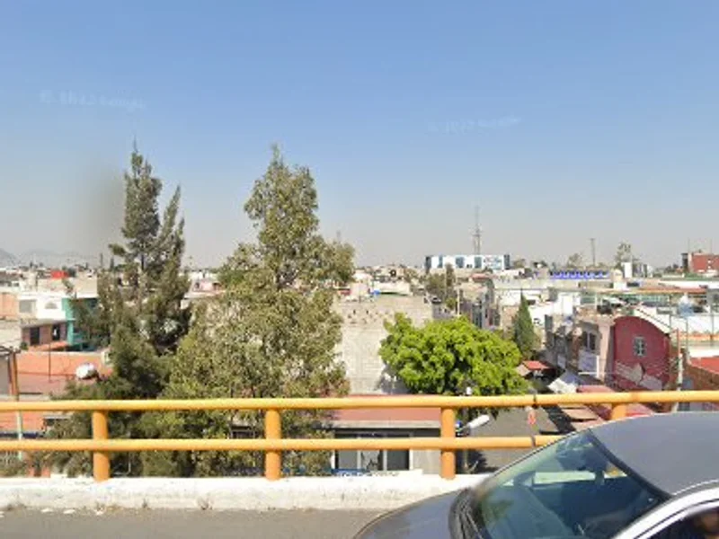 Tamales Y Atoles El Males