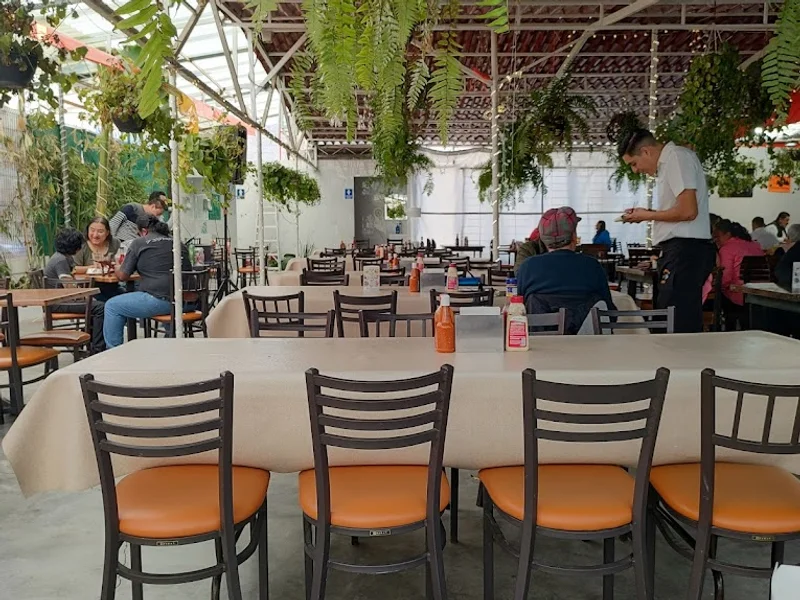 Mariscos la "Y" Griega