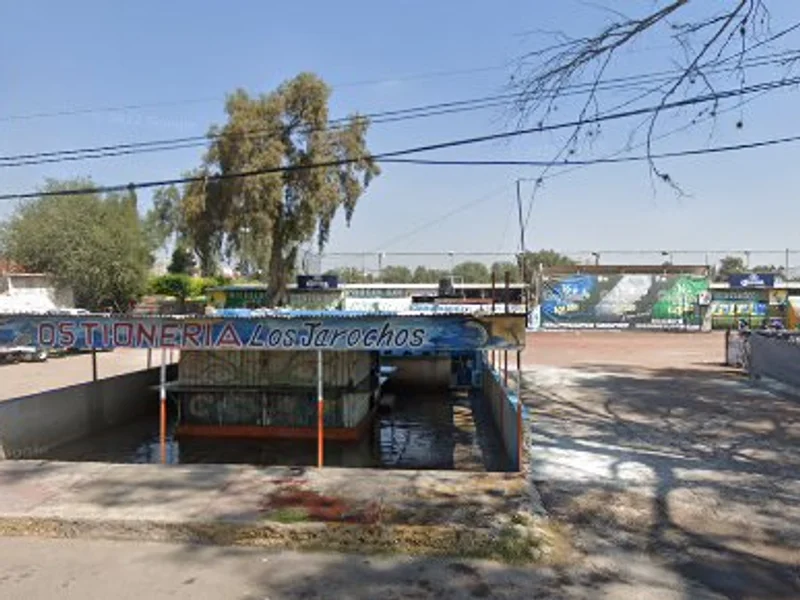 Pescados Y Mariscos Los Jarochos