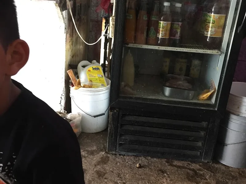 Tacos y Tortas "El Gato Loco"