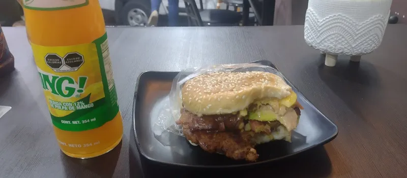 Hamburguesa “El crucero de Tlapanaloya”