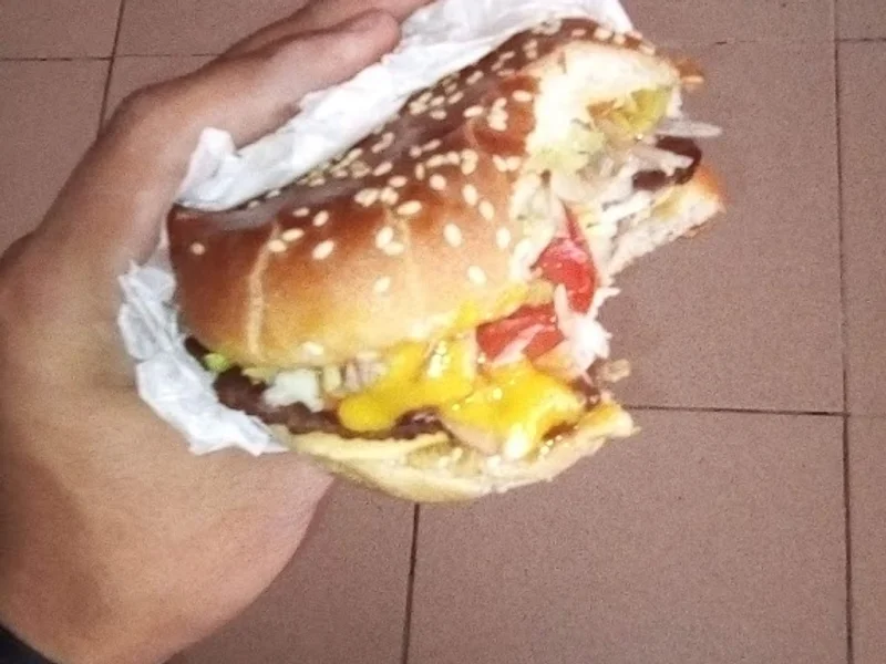 hamburguesas cholita