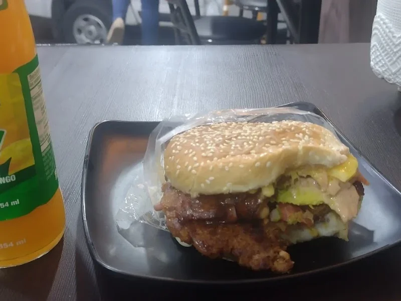 Hamburguesa “El crucero de Tlapanaloya”