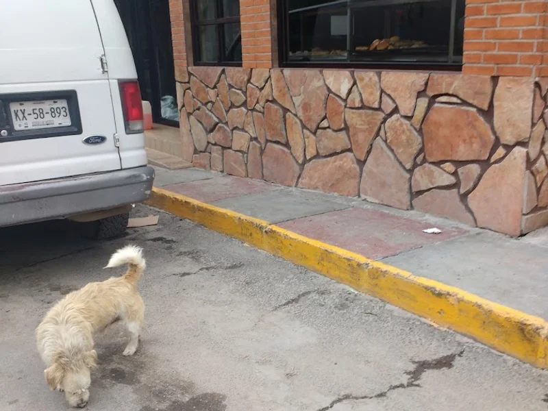 Panadería pan ochon