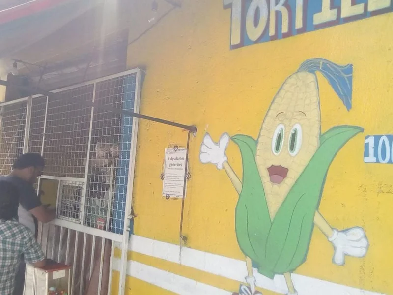 Tortilleria Maiz