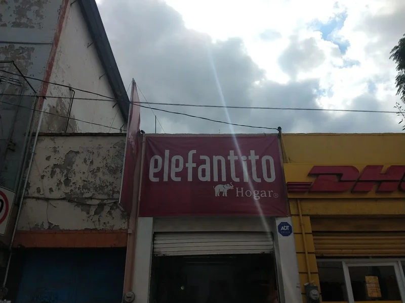 Elefantito hogar