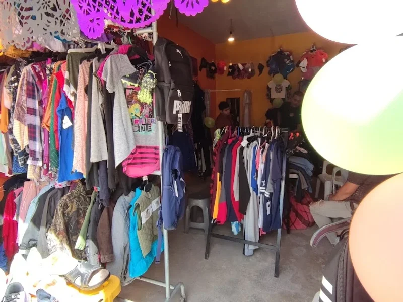 Articulos Phoenix II