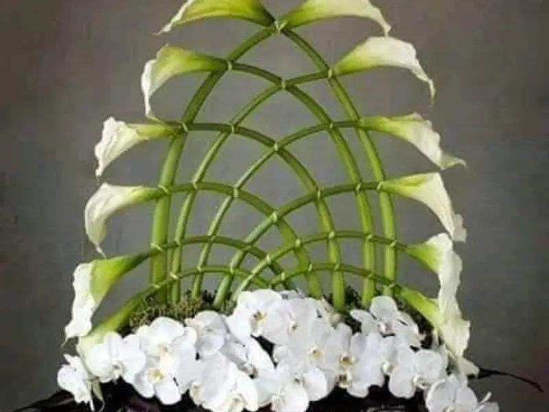 Florería Ave del Paraiso