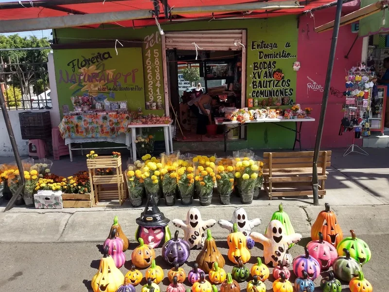 Flores y regalos FLORERIA NATURALYLI