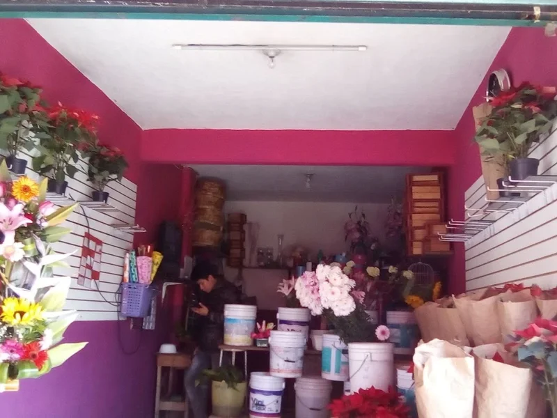 Floristería San Miguel