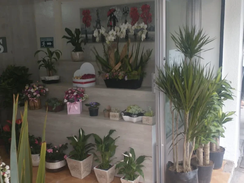 Florería Las Orquídeas