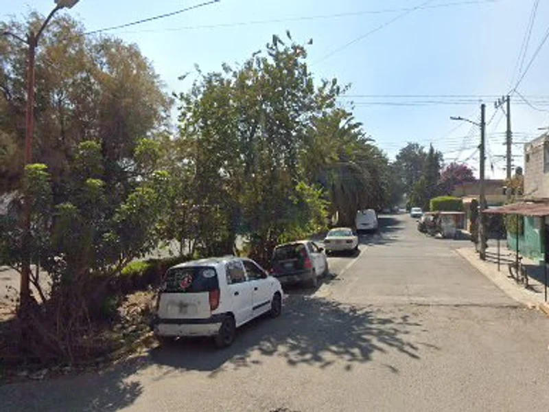 Outlet Pig De Calzado