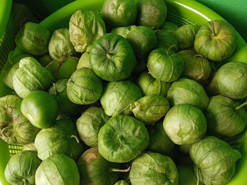 Recauderia EL HUERTO