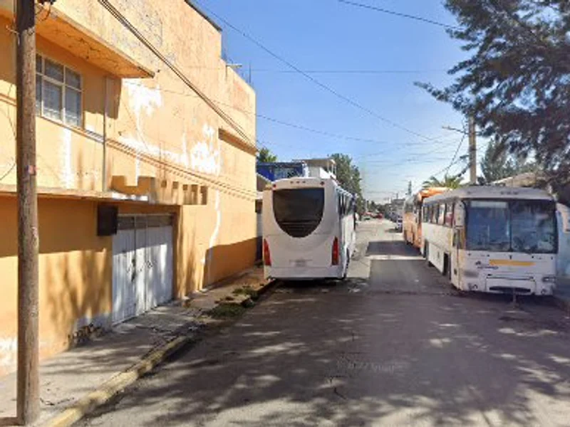 Frutas y legumbres...