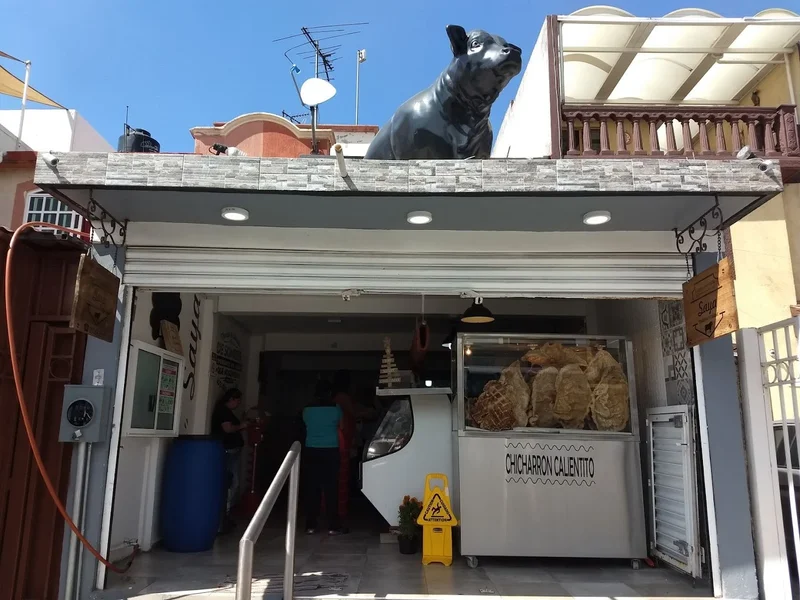 Carniceria Carnes Selectas SAYA