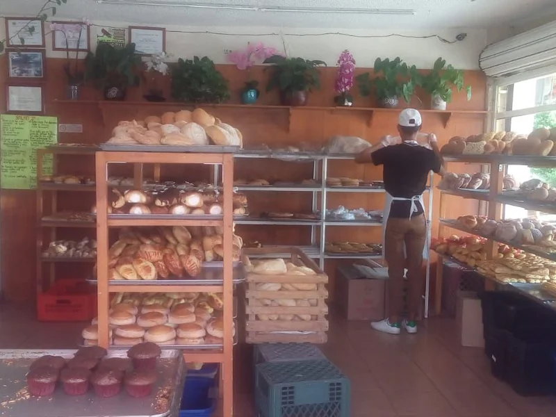 Panaderia "Francisco"
