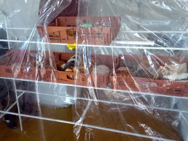 Panadería la avenida