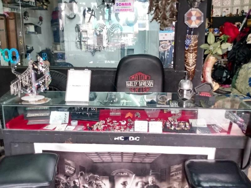 Tatuajes y perforaciones borrego tattoo