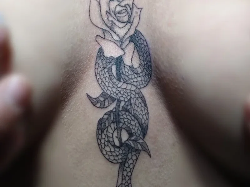 Estudio de Tatuajes K Nita ink