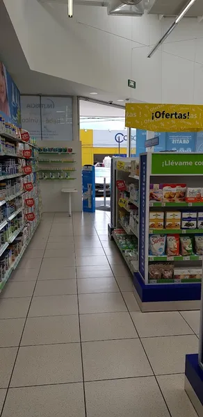 Farmacia San Pablo Jardines De Morelos