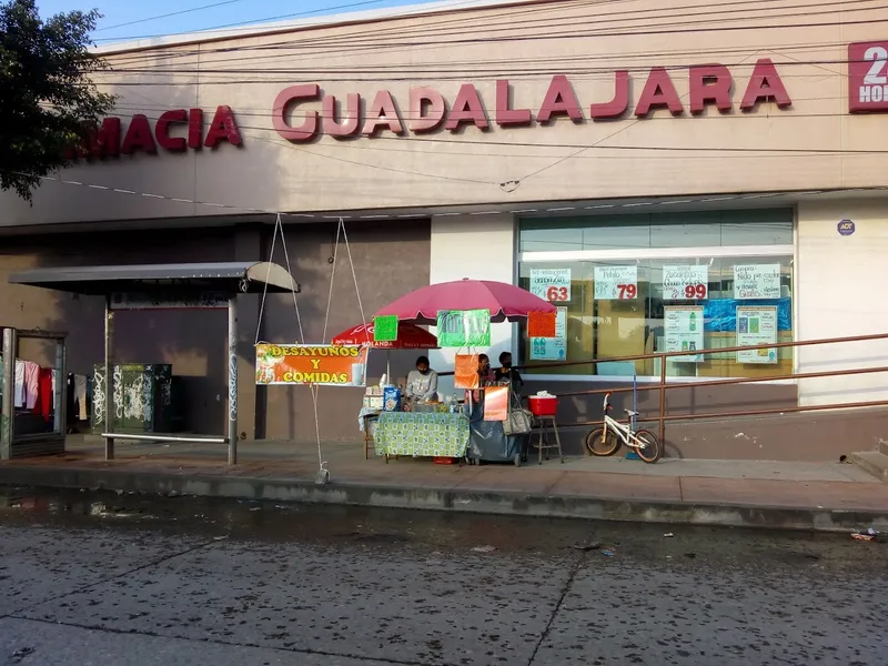 FARMACIAS GUADALAJARA
