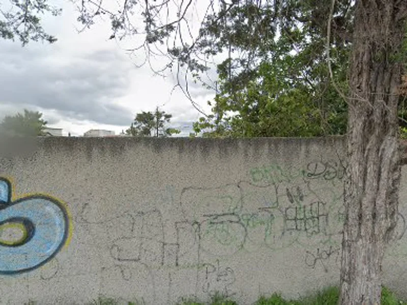 Quiropráctico masajista Carmelo