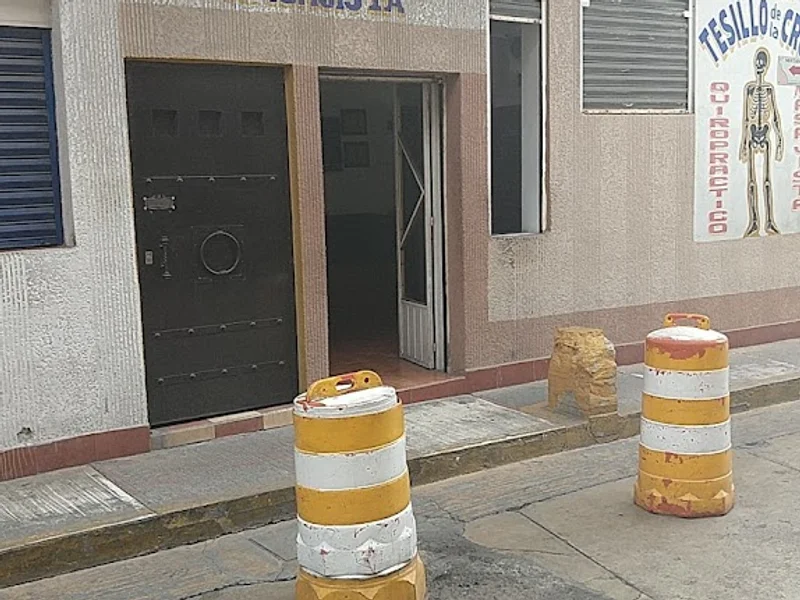 Luis Nemesio Tesillo de la Cruz QUIROPRÁCTICO MASAJISTA